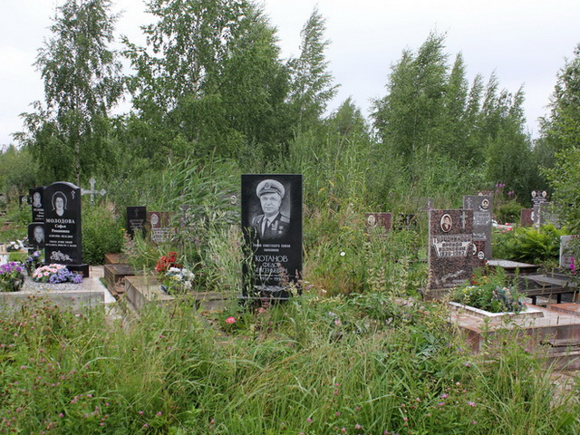 Южное кладбище, Санкт-Петербург