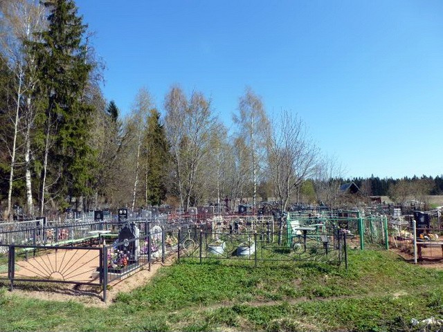 Вид на Дружносельское кладбище