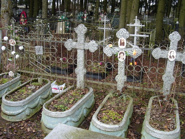 Могилы на Дружносельском кладбище