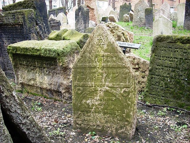 На надгробии Давида Ганса изображены магендавид по названию книги Ганса и гусь по смыслу немецкой фамилии
