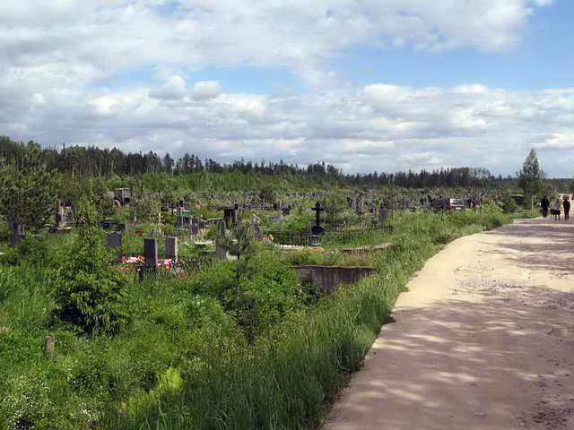 Вид на Новое Муринское кладбище