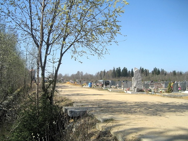Вид на Новое Муринское кладбище