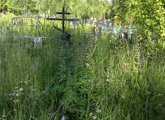 Захоронения на Чеховском новом кладбище