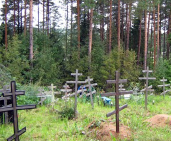 Новое кладбище, Княгинино