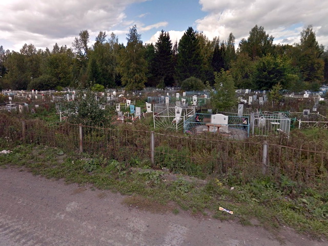 Вид на Козинское кладбище