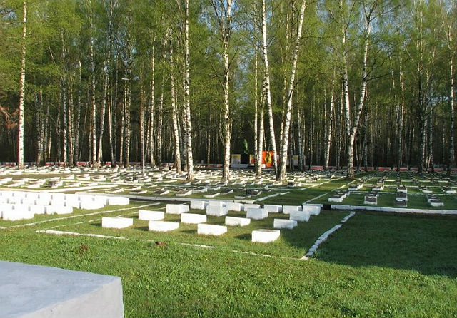 Сосневское кладбище. Могилы воинов, погибших в годы ВОВ