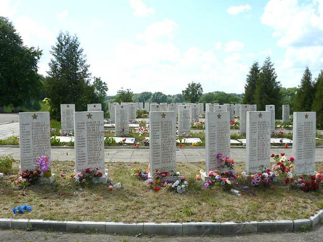 Троицкое кладбище Шуи. Воинские захоронения.