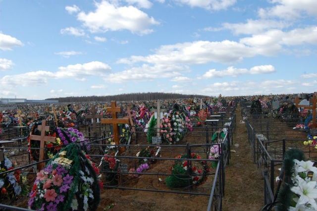 Литвиновское кладбище, Калуга