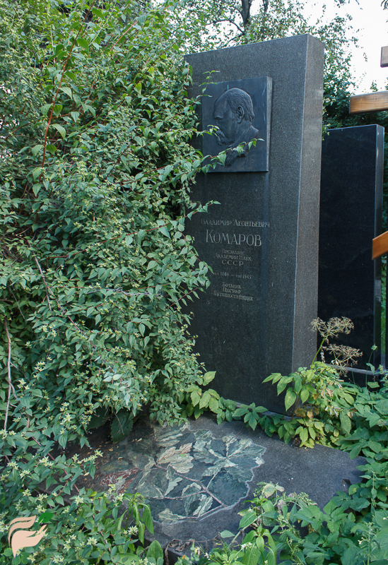 Памятник Владимиру Комарову