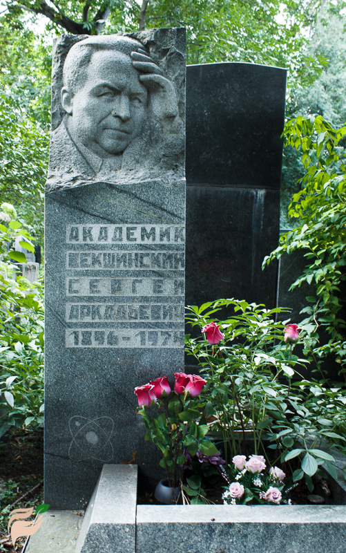 Памятник Сергею Векшинскому