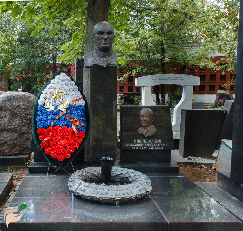 Памятник хирургам Вишневским - отцу и сыну