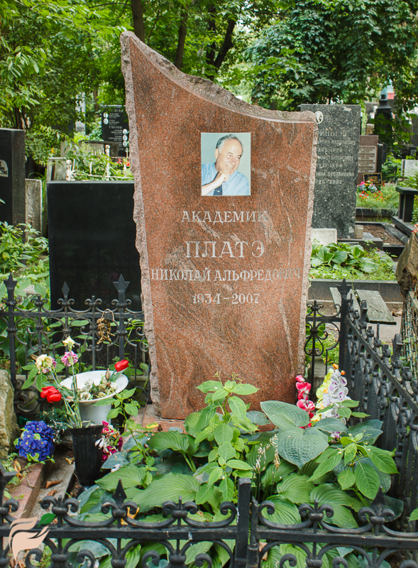Памятник Николаю Платэ