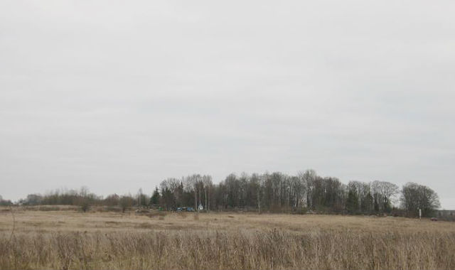 Вид на Кречевицкое кладбище