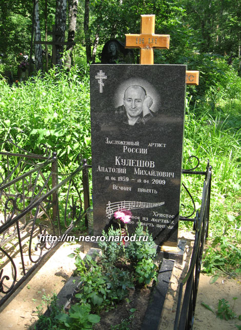Памятник Анатолию Кулешову