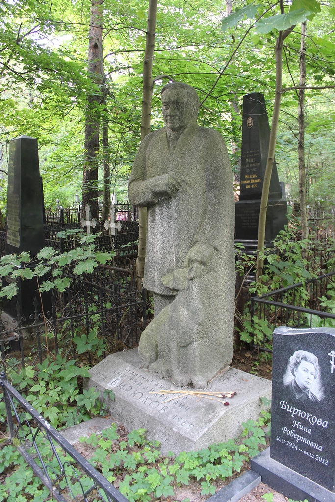 Памятник Дмитрию Бирюкову