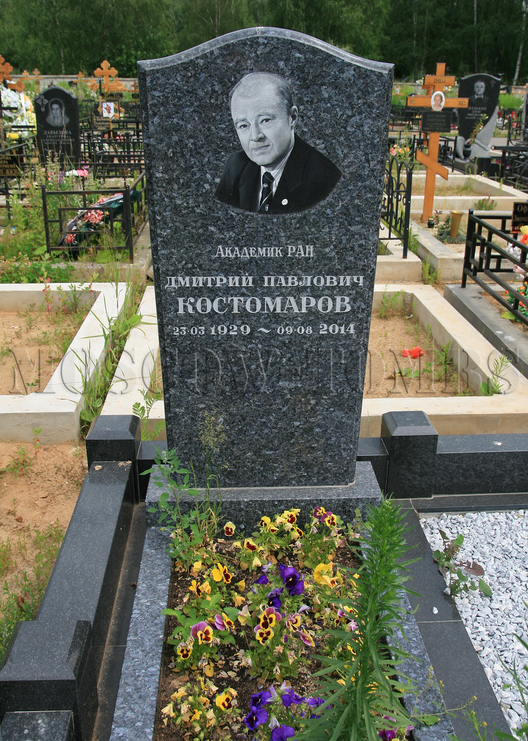 Памятник Дмитрию Костомарову