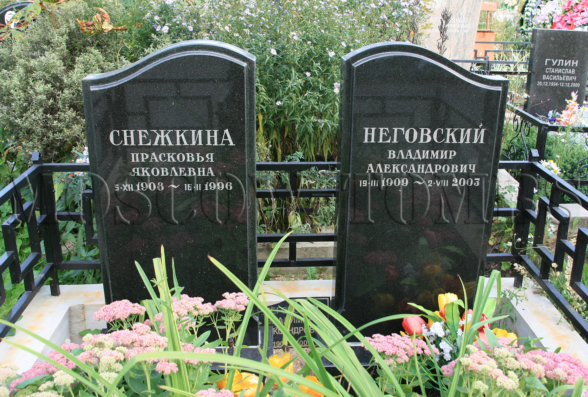 Памятник Владимиру Неговскому