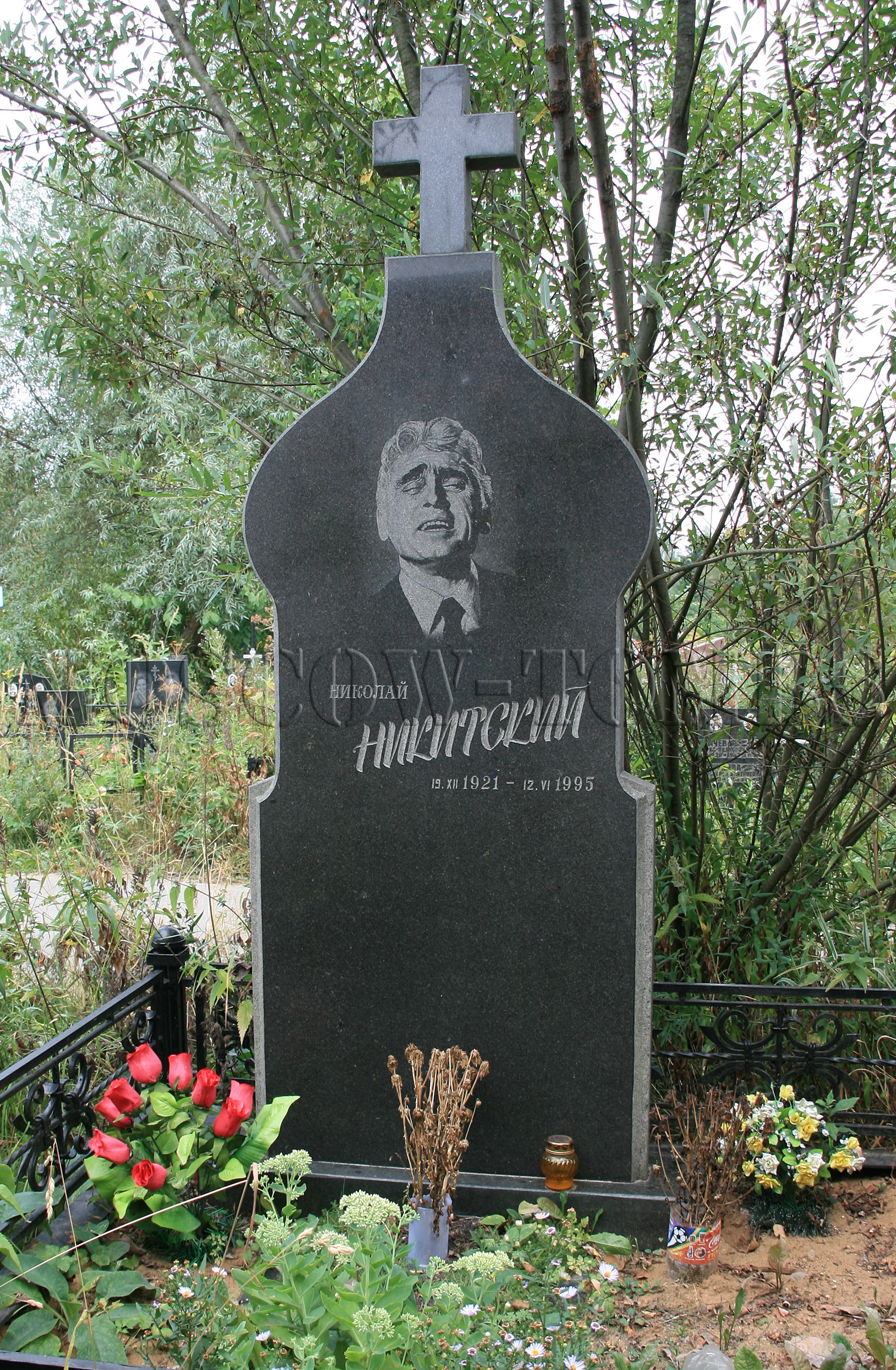 Памятник Николаю Никитскому