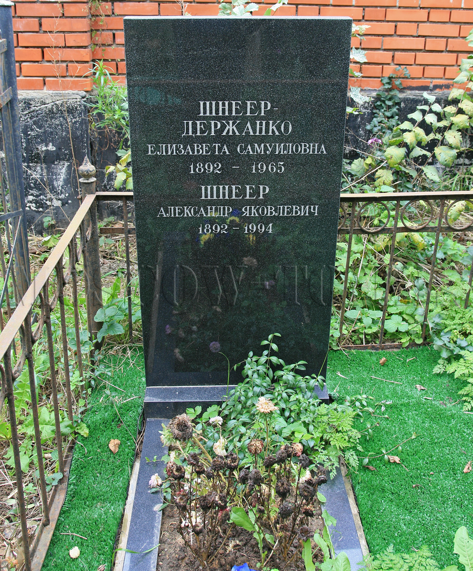 Памятник Александру Шнееру