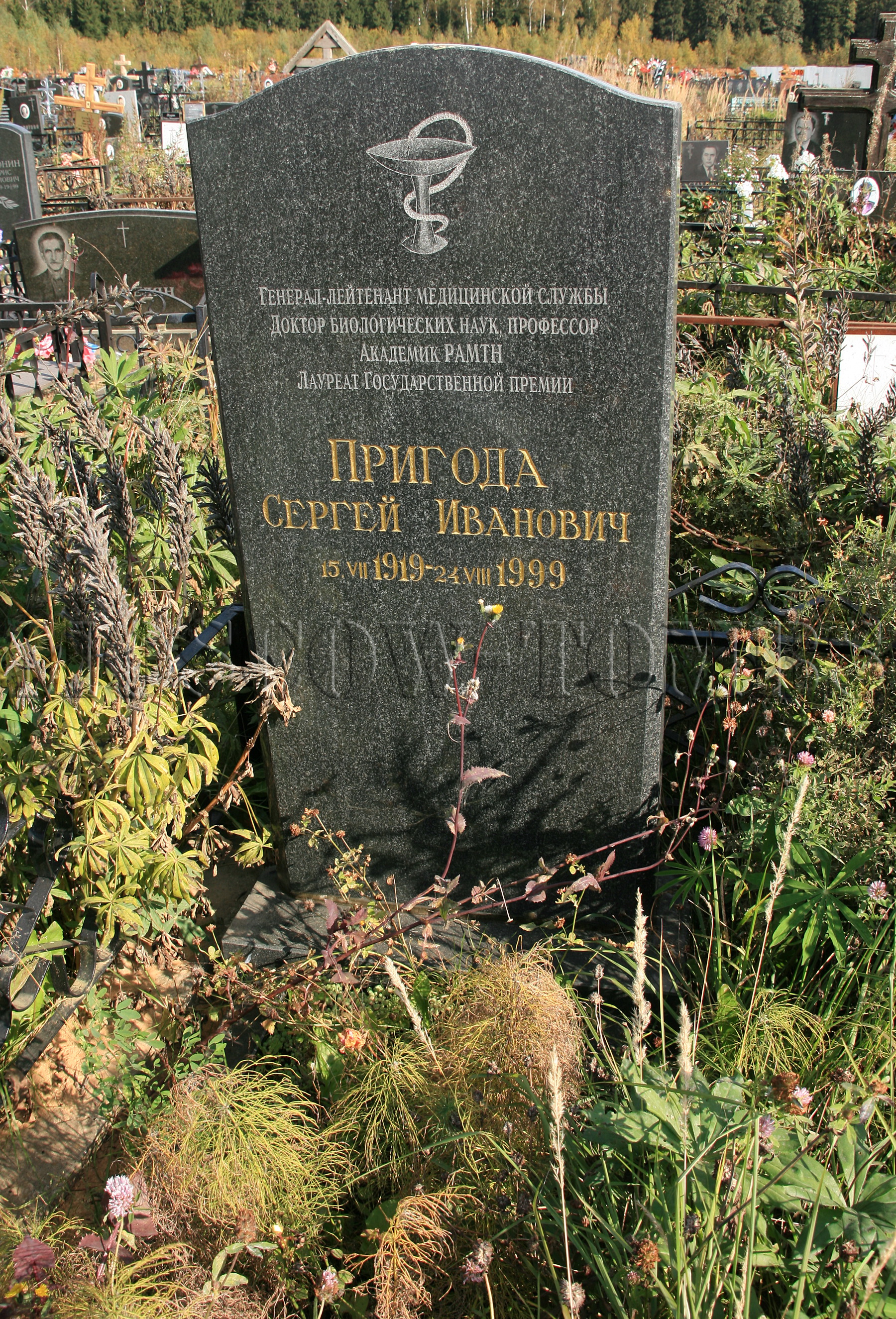 Памятник Сергею Пригоде