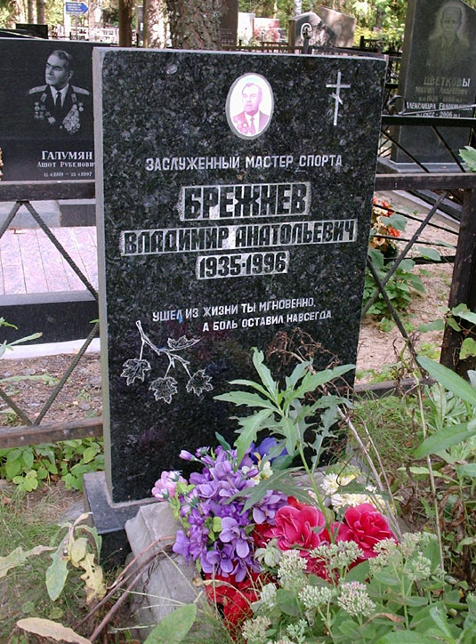 Памятник Владимиру Брежневу
