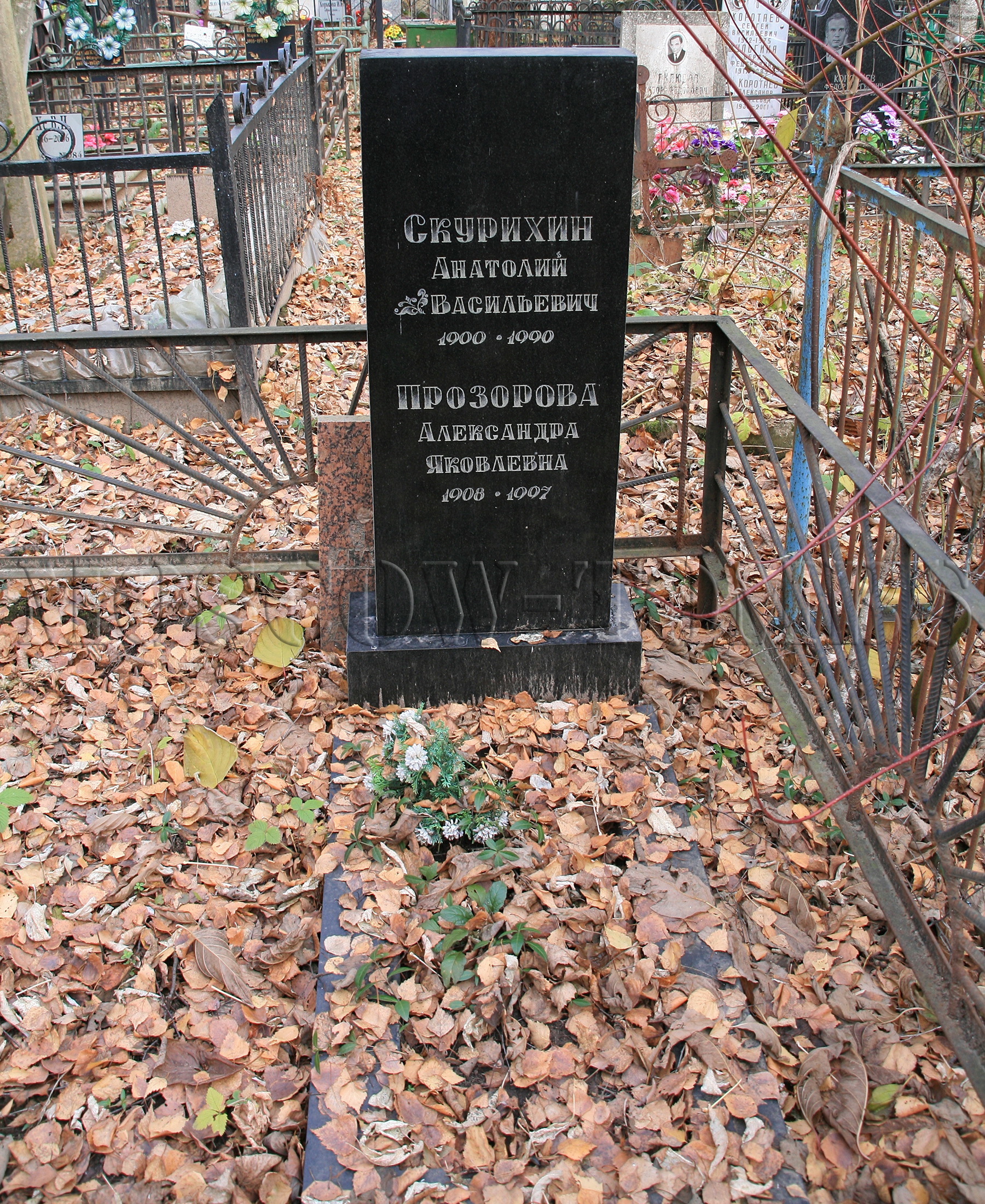Памятник Анатолию Скурихину