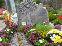 Памятник с деревом и дорожкой