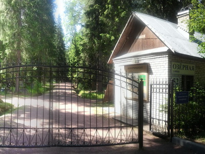 Комаровское кладбище, Санкт-Петербург