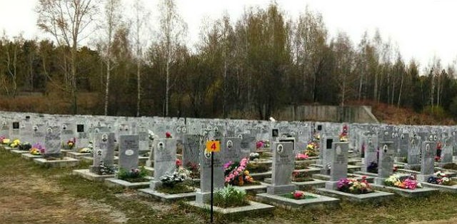 Урновая аллея на Сибирском кладбище Урновая аллея на Сибирском кладбище