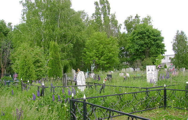 Вид на захоронения кладбища