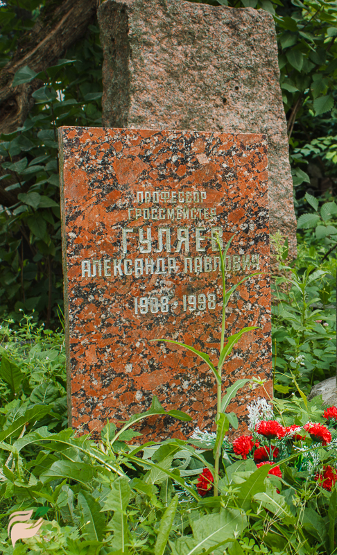 Памятник Александру Гуляеву
