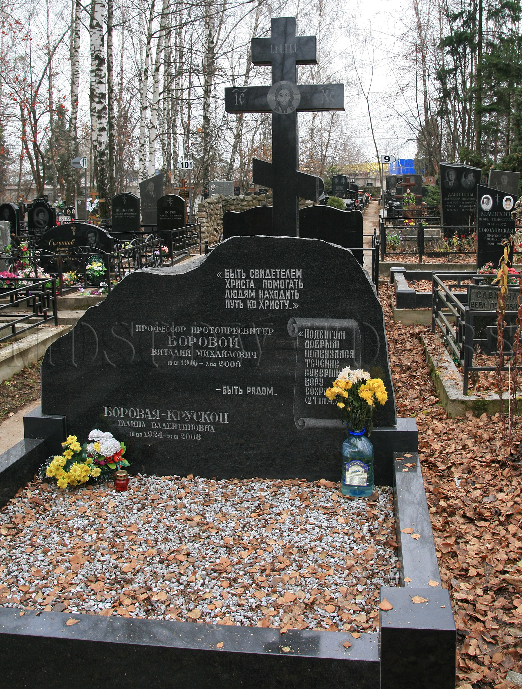 Памятник Виталию Боровому