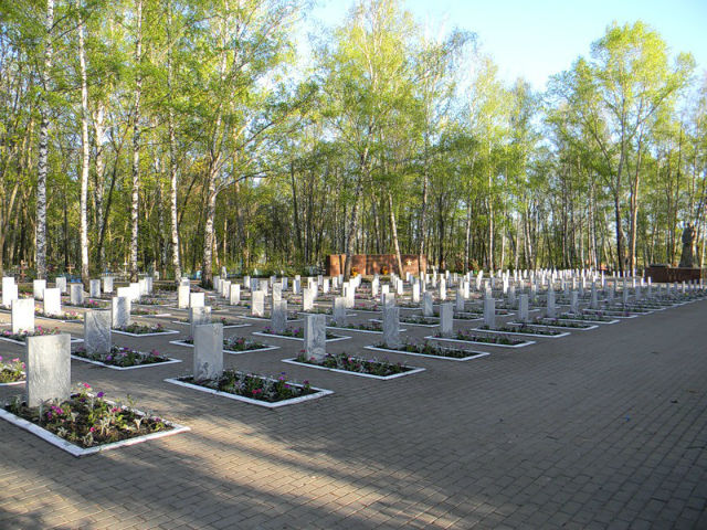Воинские могилы