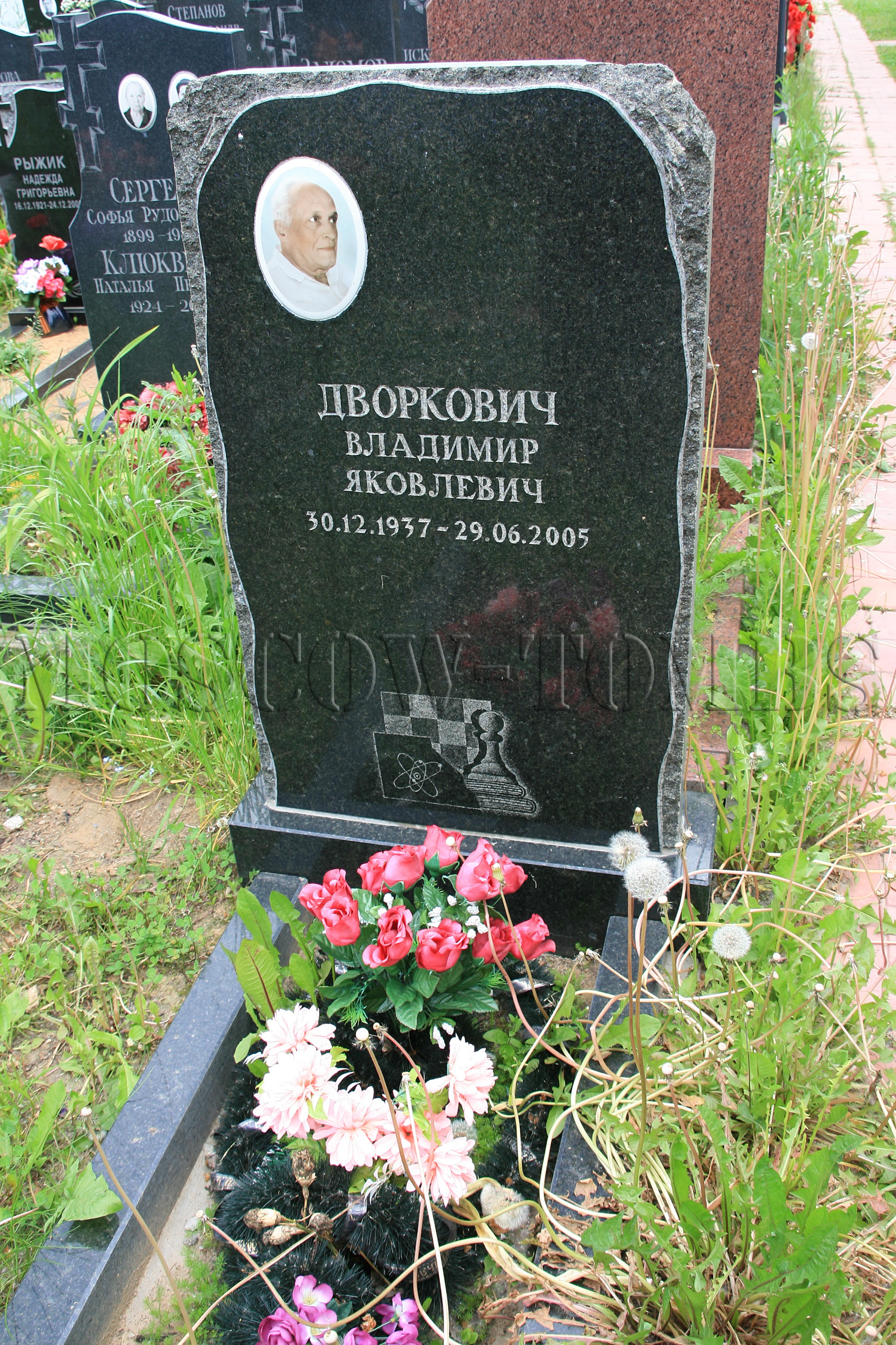 Памятник Владимиру Дворковичу