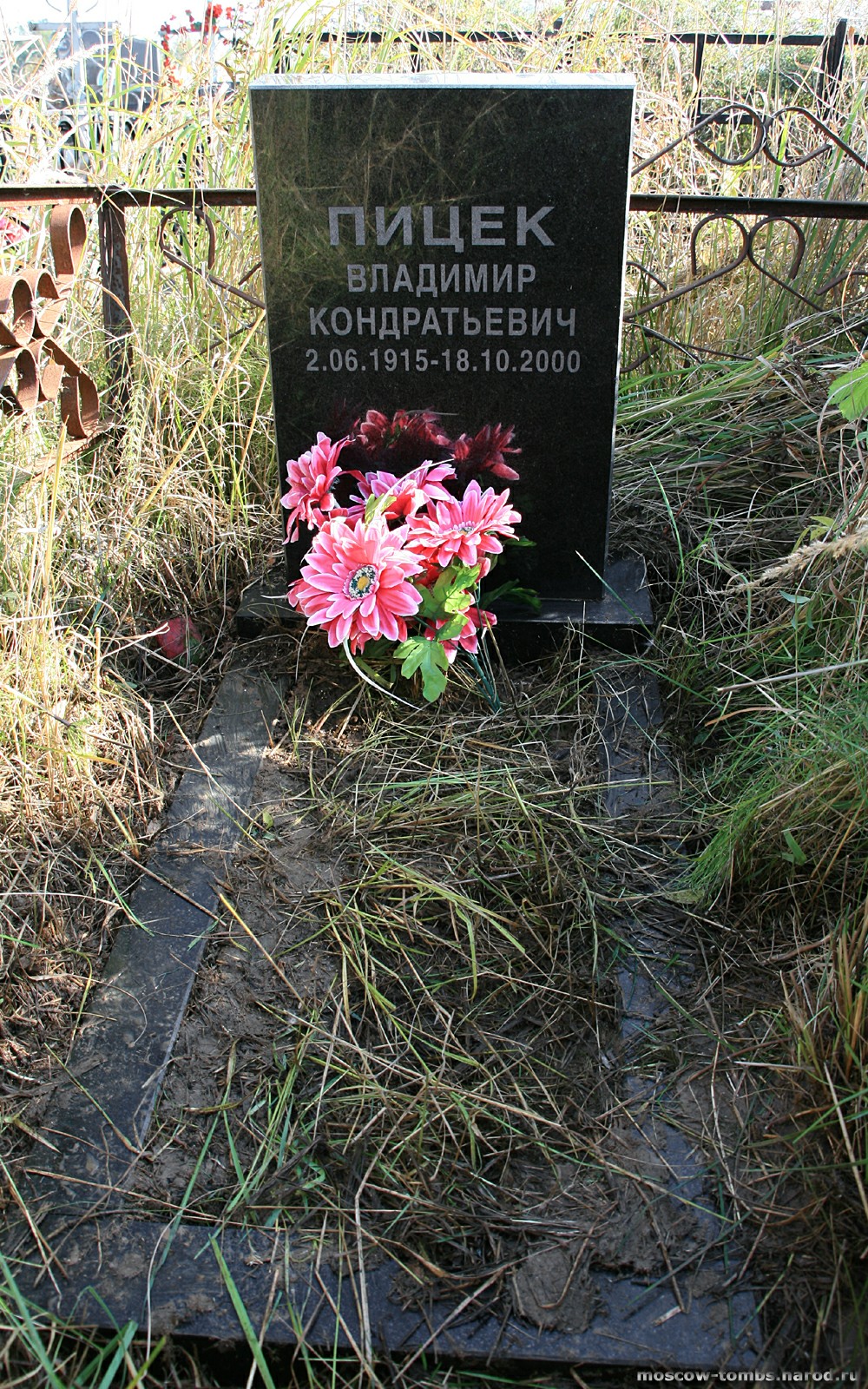 Памятник Владимиру Пицеку