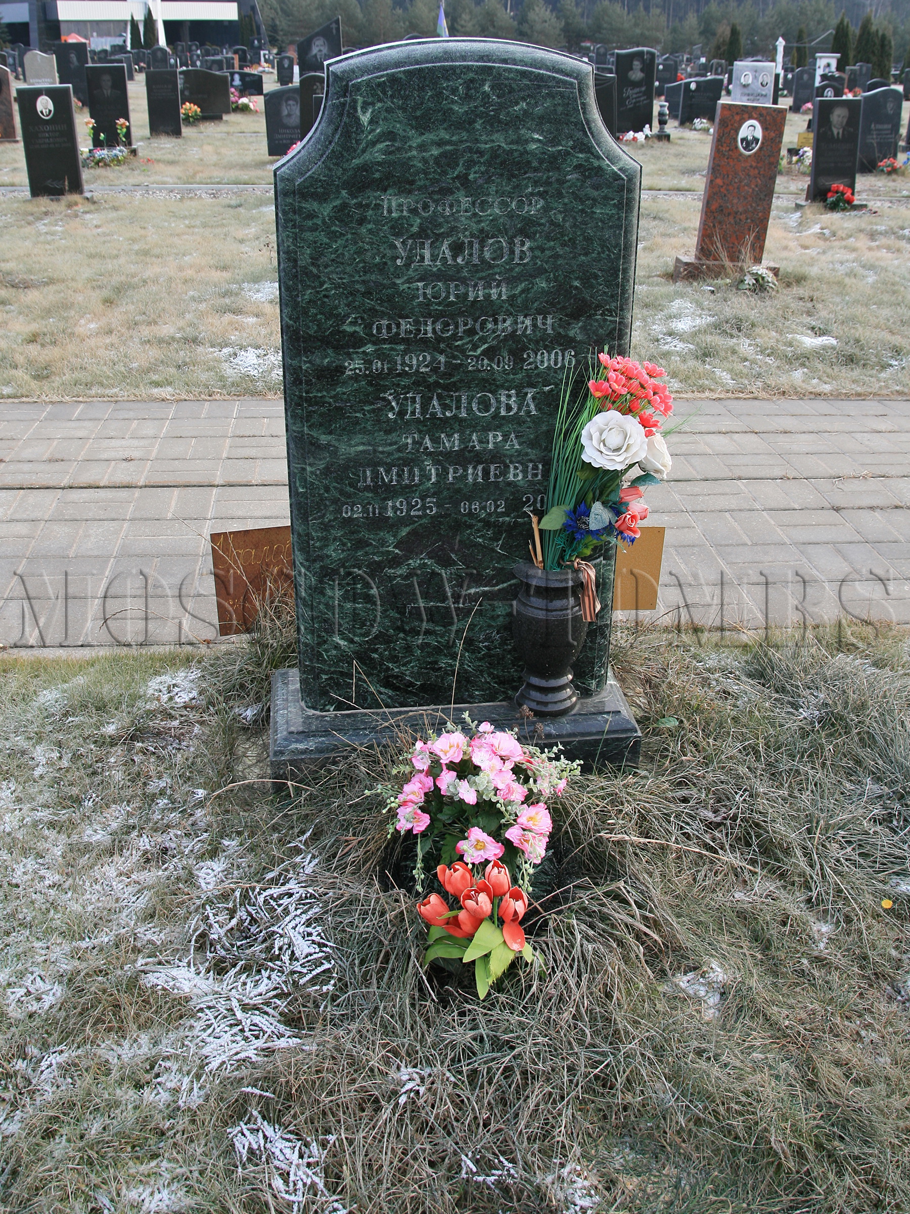 Памятник Юрию Удалову