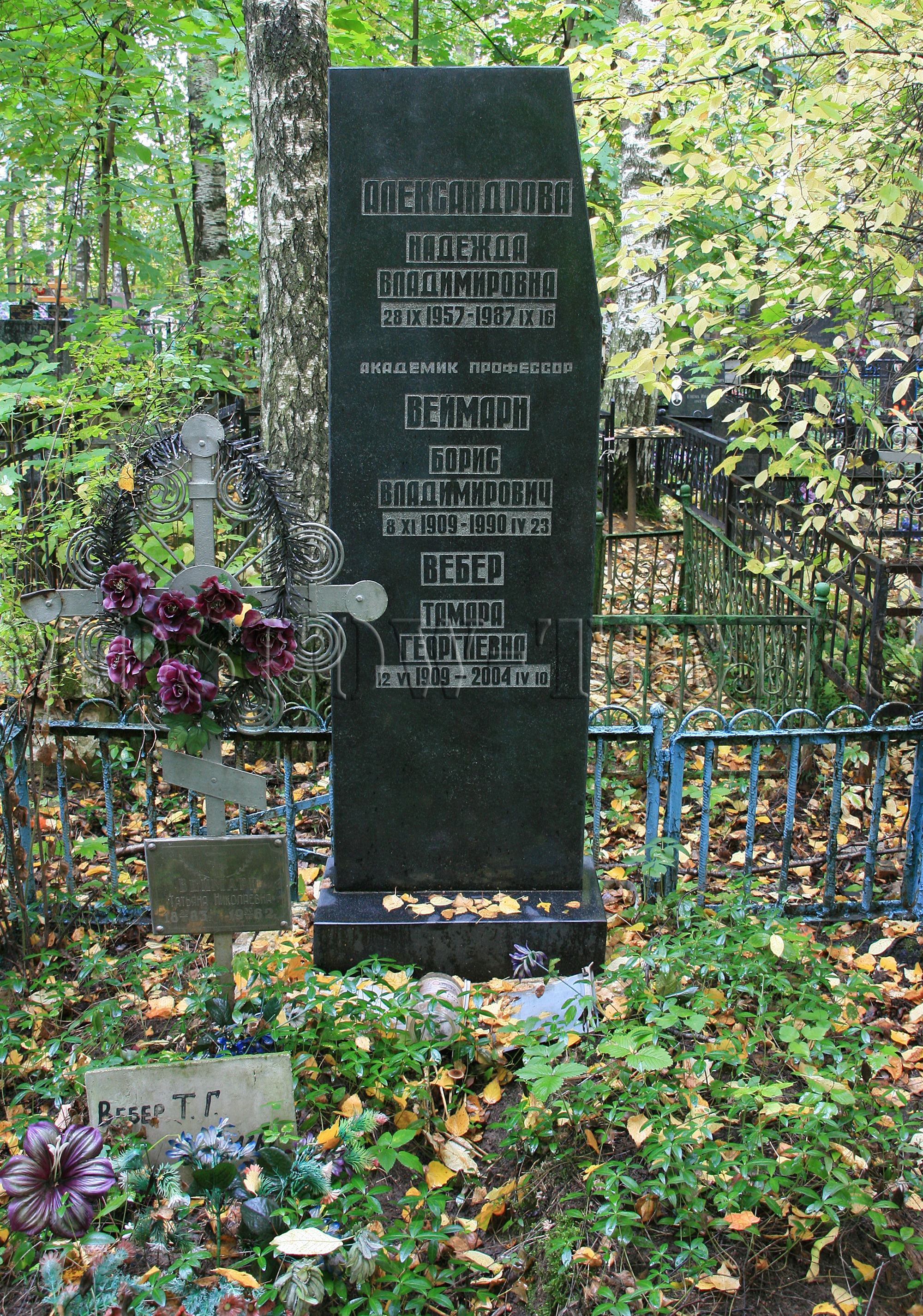 Памятник Борису Веймарну