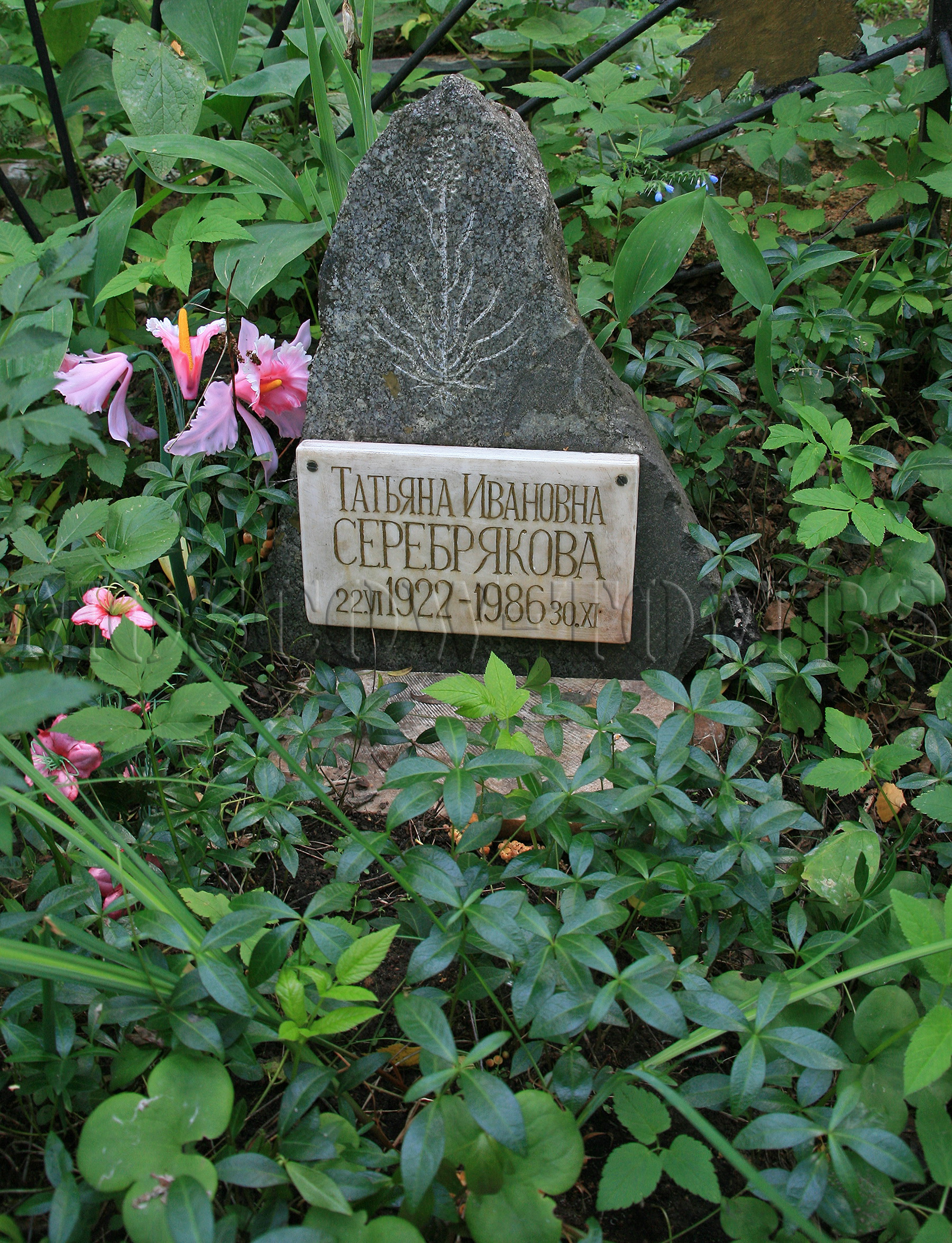 Памятник Татьяне Серебряковой